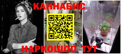 сатива Беслан